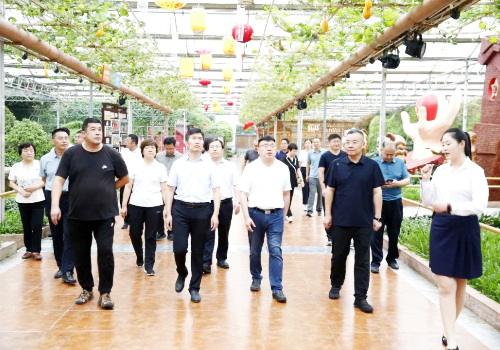 臨猗縣考察蔬菜高科技示范園參觀學習