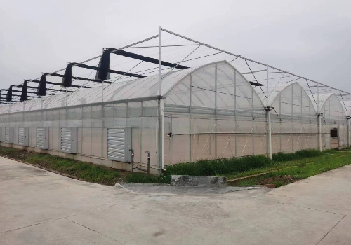 邱村鎮(zhèn)建造綠色蔬菜高標準大棚建設項目