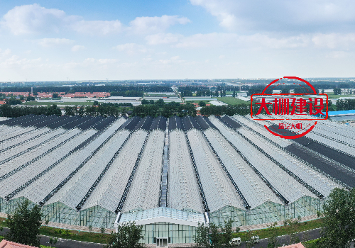 襄陽1000畝實際種植生產型溫室園區(qū)效益