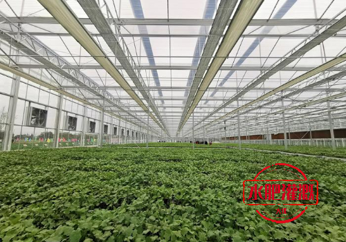 蔬菜大棚水肥一體化體系廠家