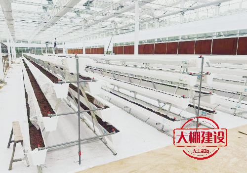 無土栽培大棚建設(shè)時要注意什么嗎？